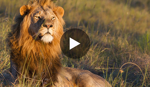 Ready for a new adventure in the Rainbow Nation?